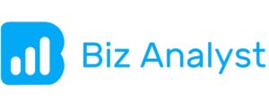 Biz Analyst